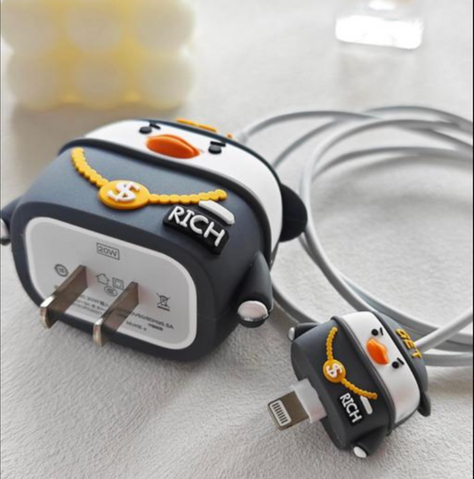 Iphone Charger case