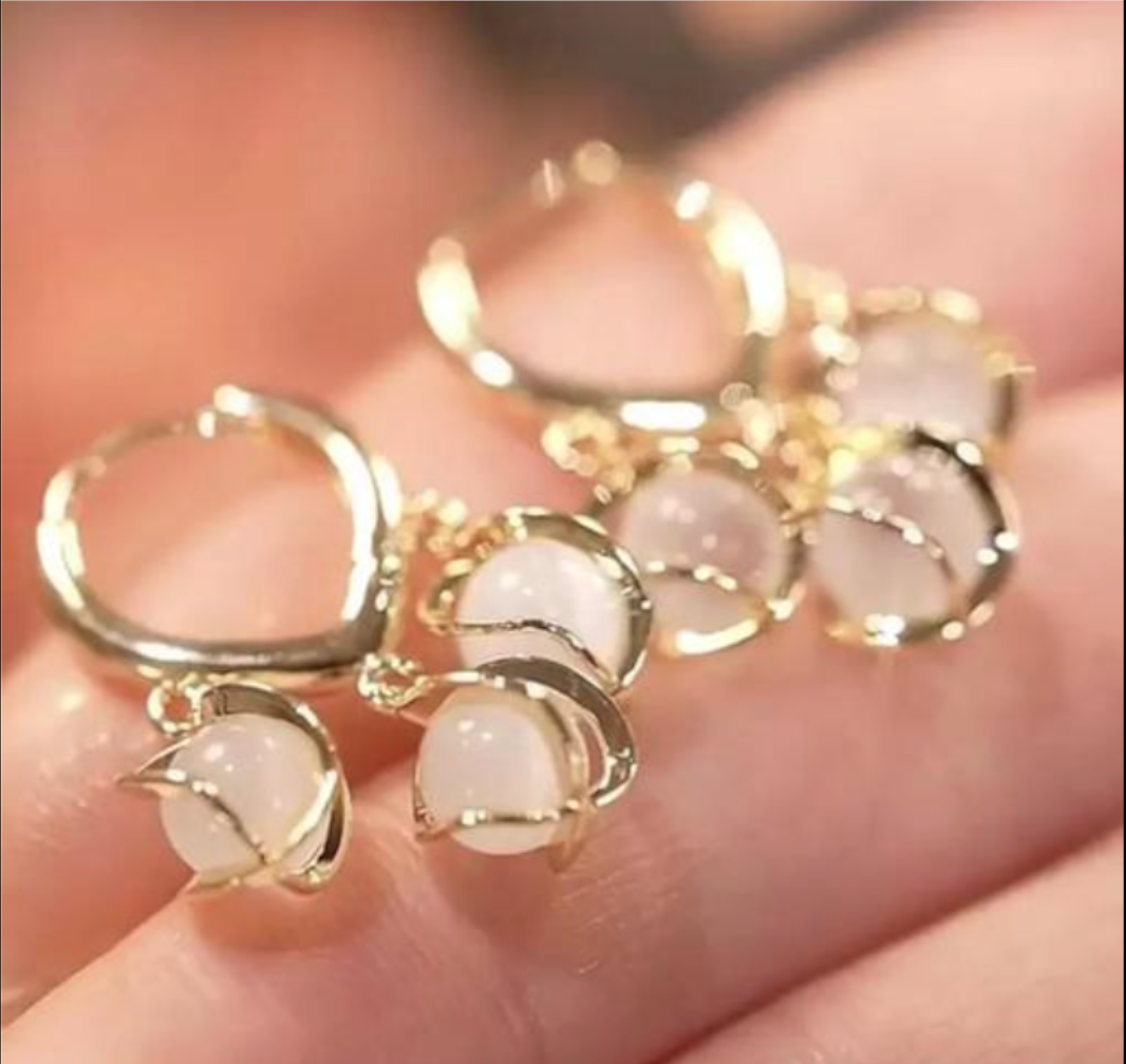 Korean Design Earrings