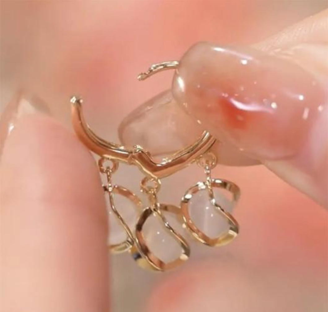 Korean Design Earrings